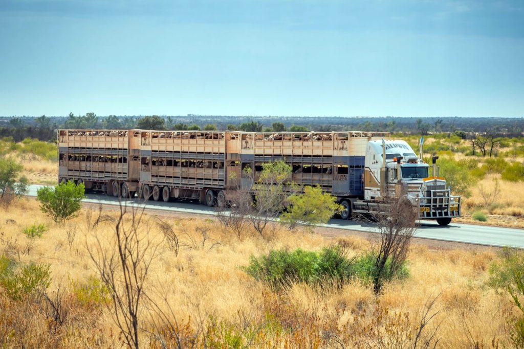 Livestock Transport Costs Australia